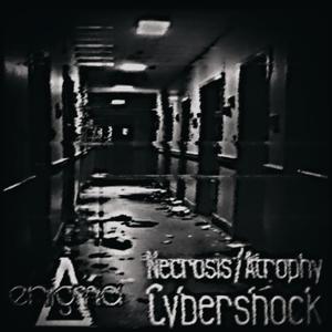 Necrosis