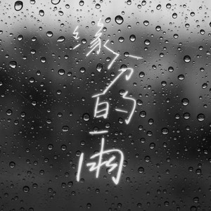 缘分的雨