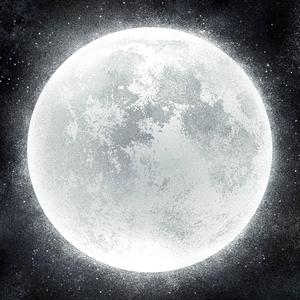 Moonlight Repose