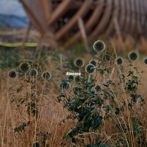 Sincere