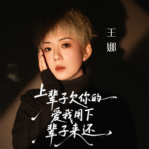 上辈子欠你的爱我用下辈子来还（DJ阿本版）