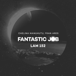 Fantastic Job (Original Mix)