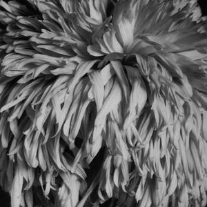 You Are Visible, Pt. 2