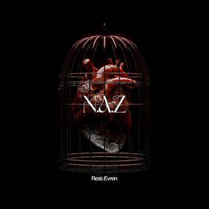 N.A.Z