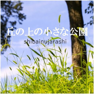 丘の上の小さな公園