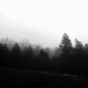 In the Absence of Tomorrow