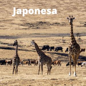 Japonesa