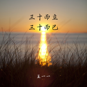 三十而立三十而已