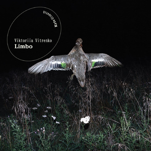 Ying Wang, Illuminations: II Maria