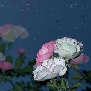 不再掩饰