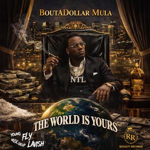 Mula Babyy Tingz