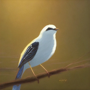 สักวันคงได้เจอ (Piano & i Live)