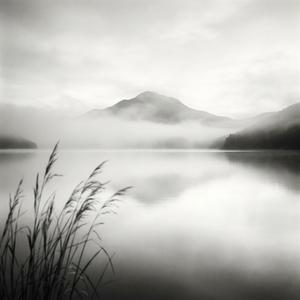 Health Anxiety Relief (Stop Symptom Checking Music)