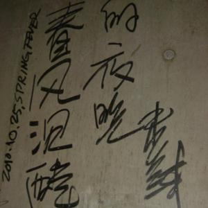 春风沉醉的夜晚