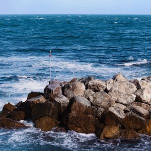 述职报告Freestyle