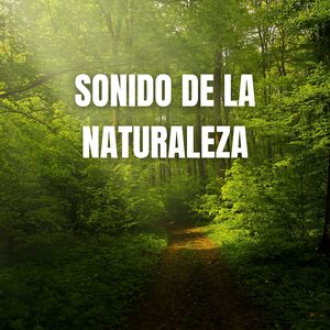 Trabajar y Concentrarse