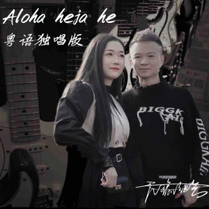 Aloha heja he （粤语独唱版）DJ佐罗