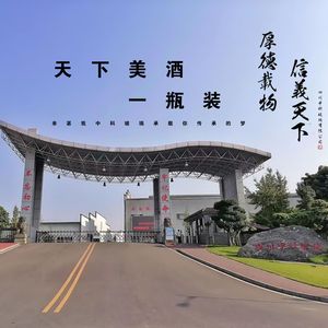 天下美酒一瓶装