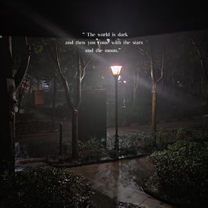 雨夜