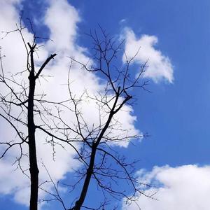 一身骄傲