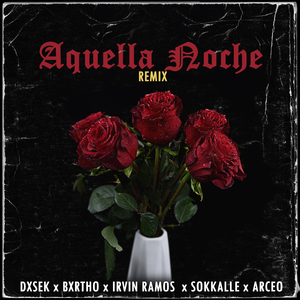 Aquella Noche (Remix)