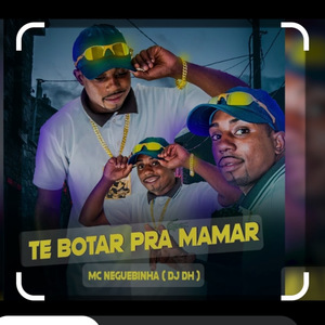 Te Bota pra Mamar