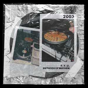 F.Y.U. (Showtek Remix)