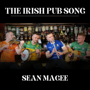 The Irish Pub Song