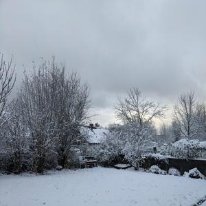 Snowvibe