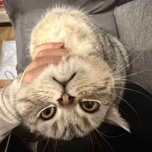 失眠