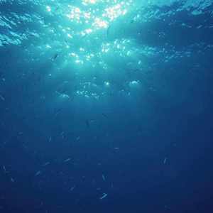 水の都（翻自 镜音双子）