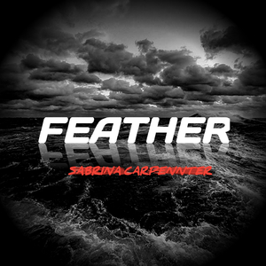 Feather