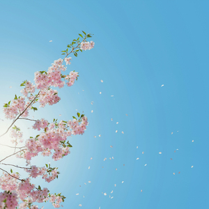 너의 곁을 지킬게