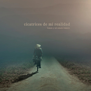 Cicatrices de Mi Realidad