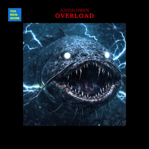 Overload ～超過電圧～