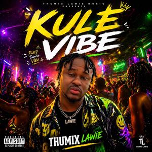 KULE VIBE