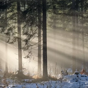 为霜（Piano Ver.）