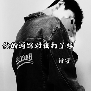 你的酒馆对我打了烊（烟酒嗓）诗宇