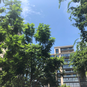 后来