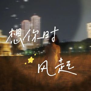 想你时风起