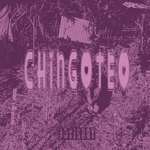 CHINGOTEO