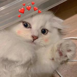 谢谢你陪我一起过