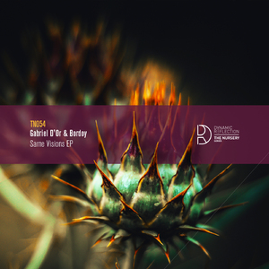 Same Visions (Original Mix)