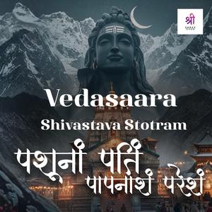 Pashunam Patim Papanasham | Shiv Stuti (Shree Dhun)