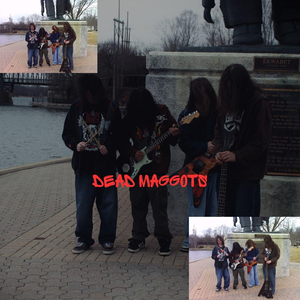 Dead Maggots