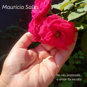 No céu prateado... o amor foi escrito