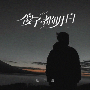 傻子都明白 (烟嗓版伴奏)