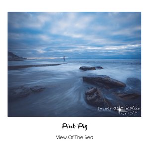 View Of The Sea (Orchestral Mix)