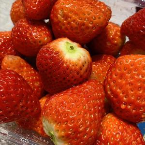 Czarina-i miss you（774 remix）