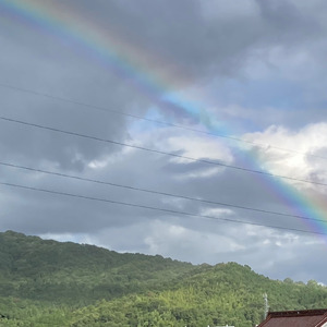 中高年のすべて